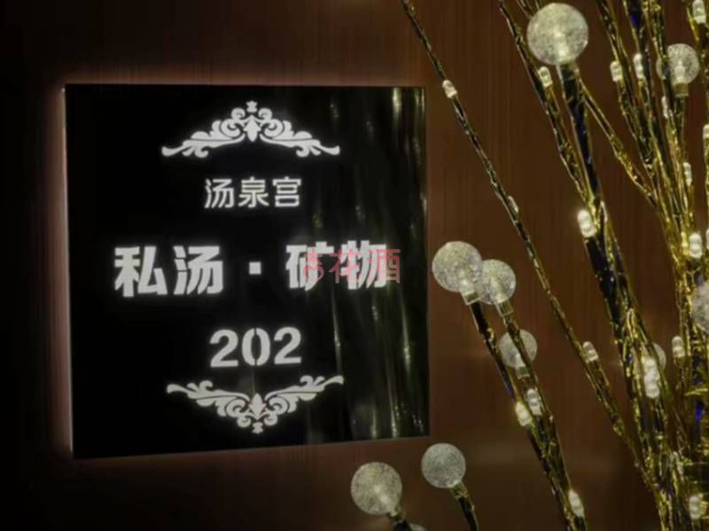 175_80082