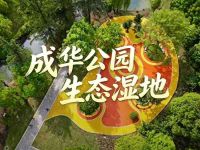 成华公园-生态湿地