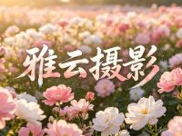 雅云摄影默认相册