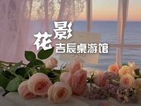 花影·吉辰桌游馆(一环路店)