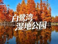 白鹭湾湿地公园