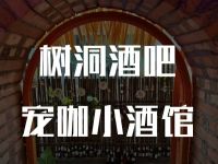 树洞酒吧宠咖小酒馆 