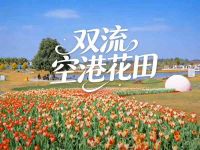 双流空港花田
