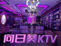 向日葵KTV(青白江店)