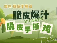 维彬脆皮手撕鸡(春熙路店)