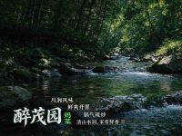 醉茂园妈妈菜